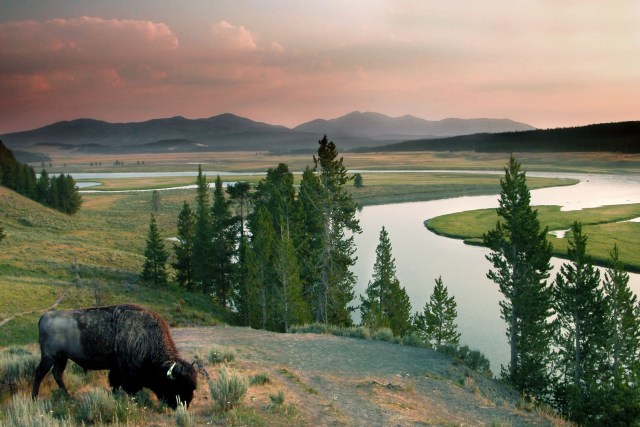 Beyond Old Faithful: Unique and Unforgettable Lodging Experiences in Yellowstone