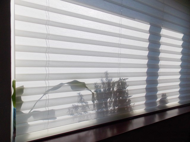 Automated Blinds vs Traditional Window Treatments: Which Offers Better Comfort?