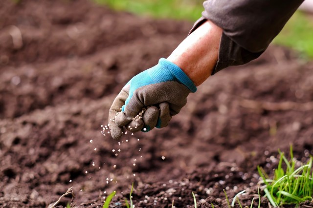 The Role of Biodiversity Conservation in Food Security and Agriculture